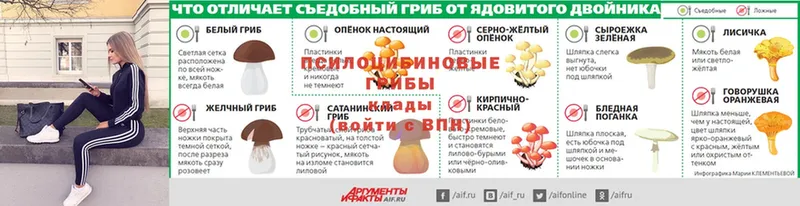 Псилоцибиновые грибы GOLDEN TEACHER  закладки  Микунь 